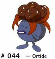 N 044 Ortide